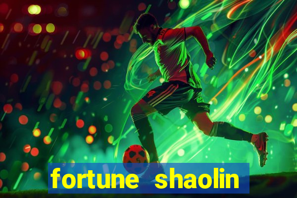 fortune shaolin soccer demo